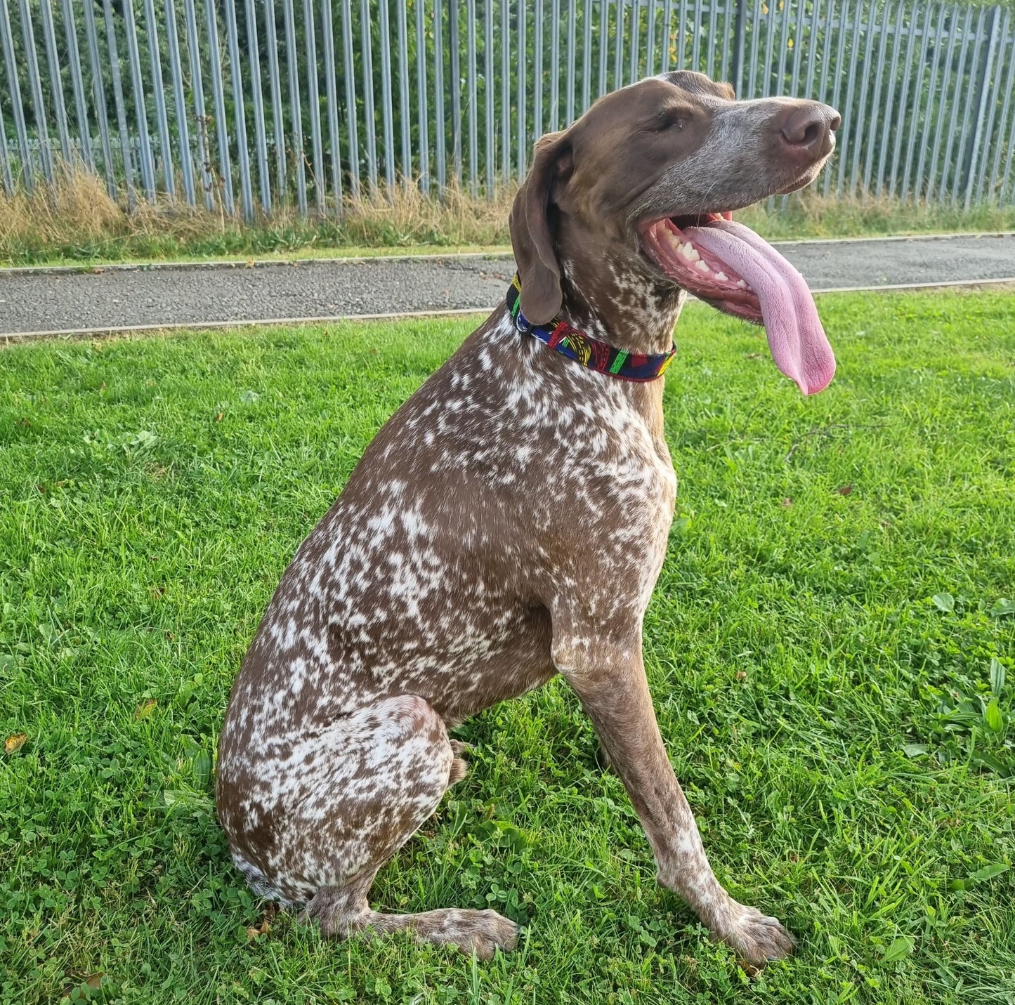 DOJA