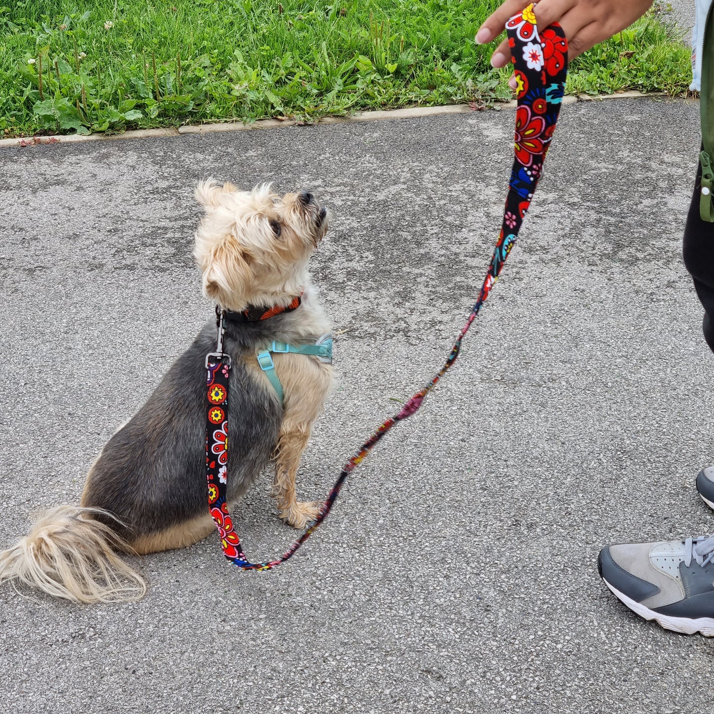 GBEMI Dog Lead
