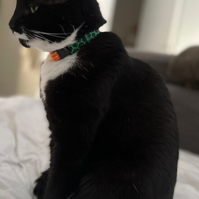KINFE AFRICAN PRINT CAT COLLAR BHOOKI