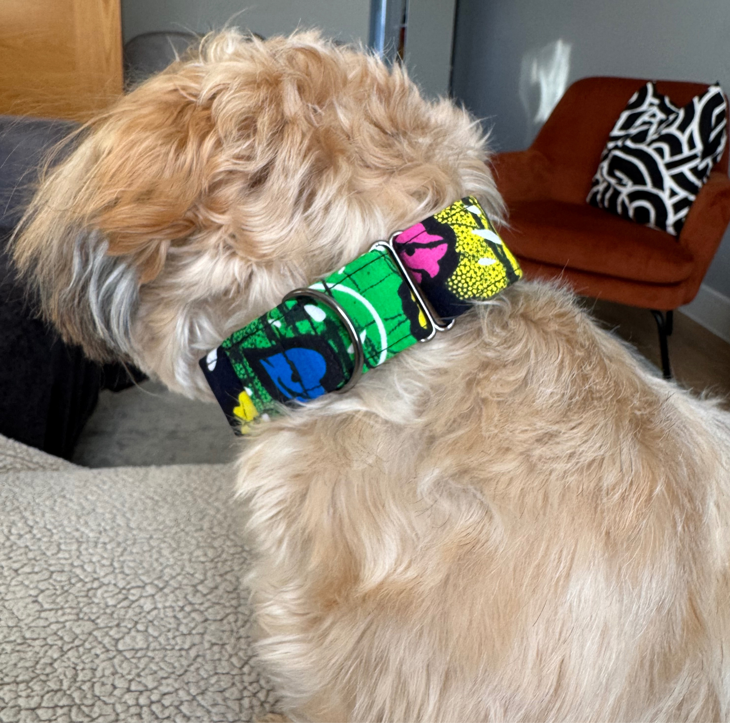 URENNA Martingale Dog Collar