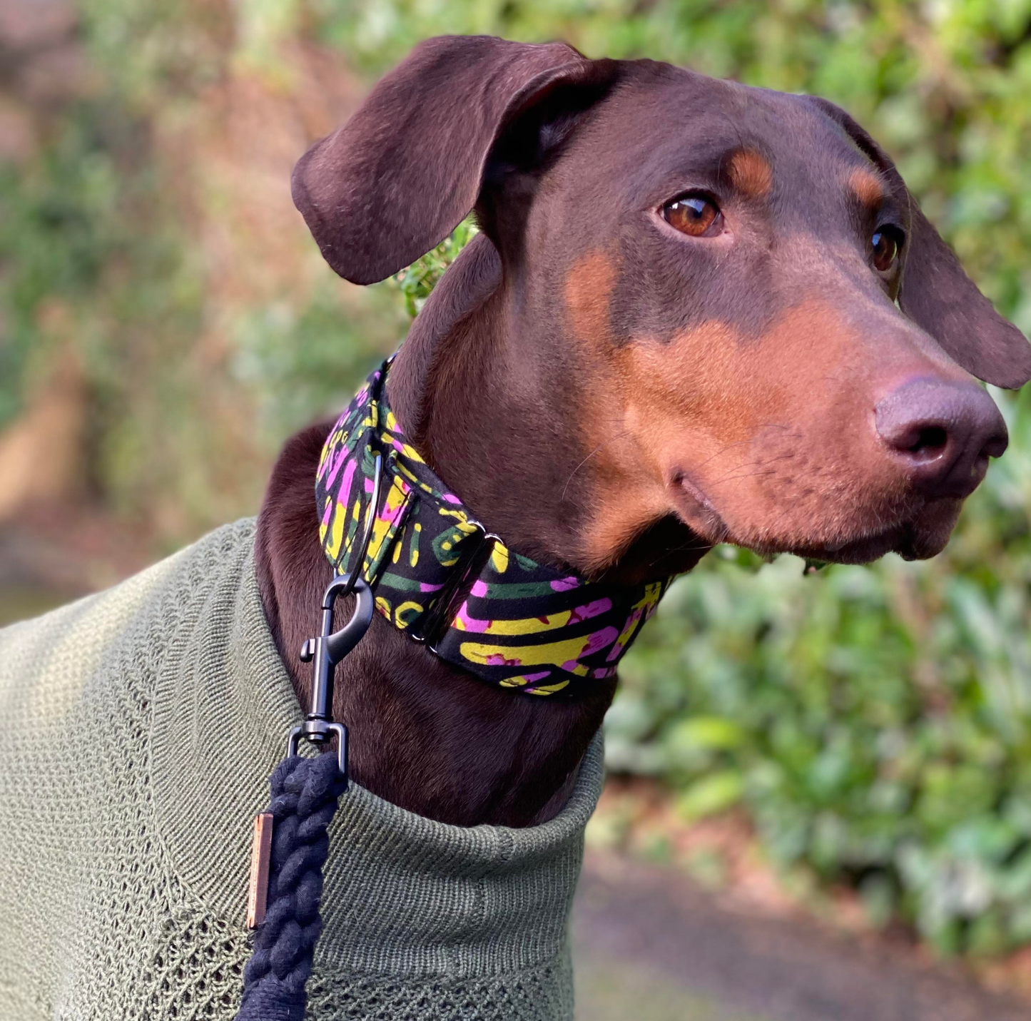 ABIKE Martingale Dog Collar