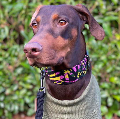 ABIKE Martingale Dog Collar