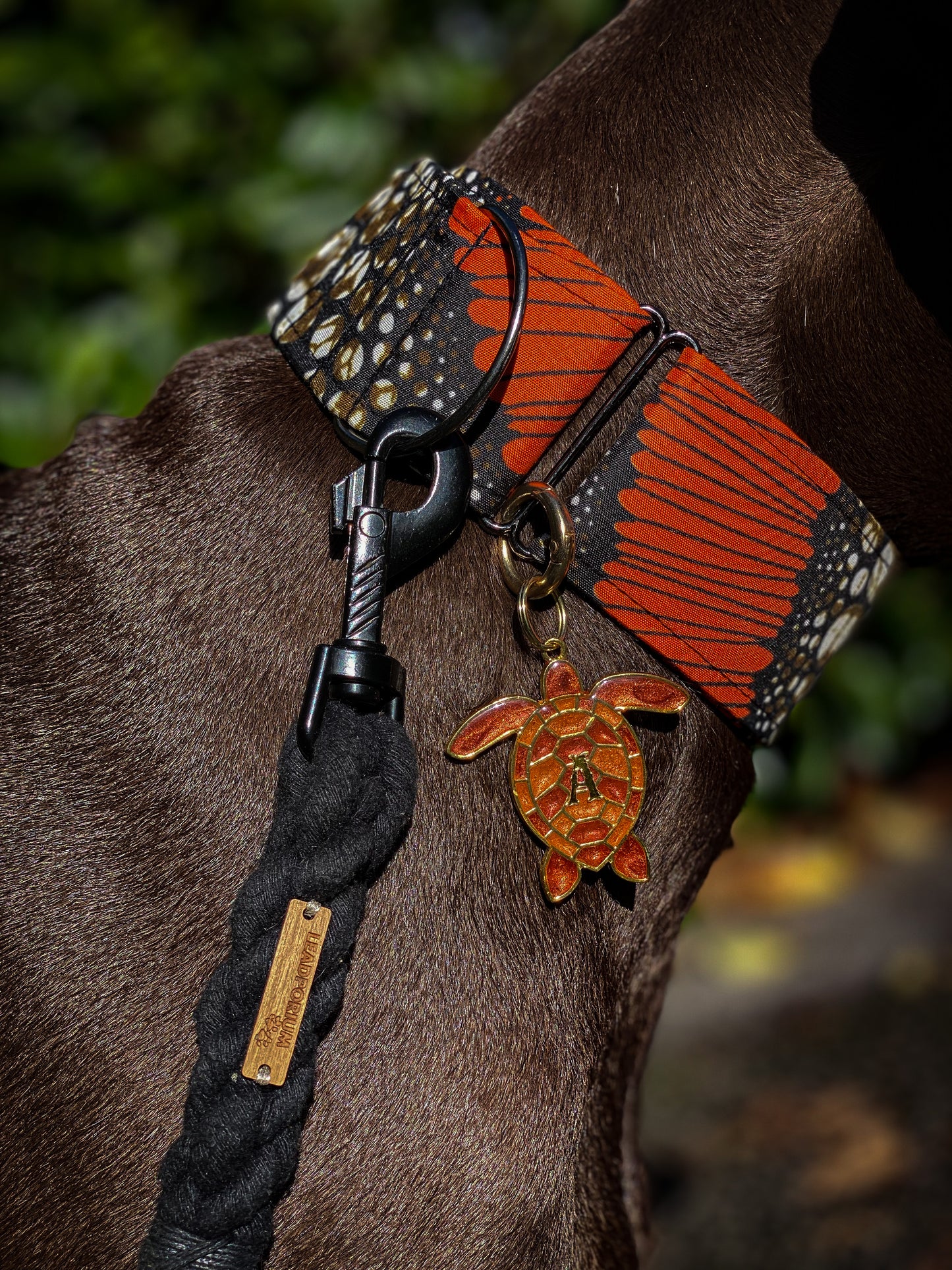 AJIRI Martingale Dog Collar