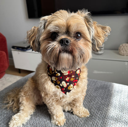 Small dog wearing a colourful dog bandana sitting on a couch.