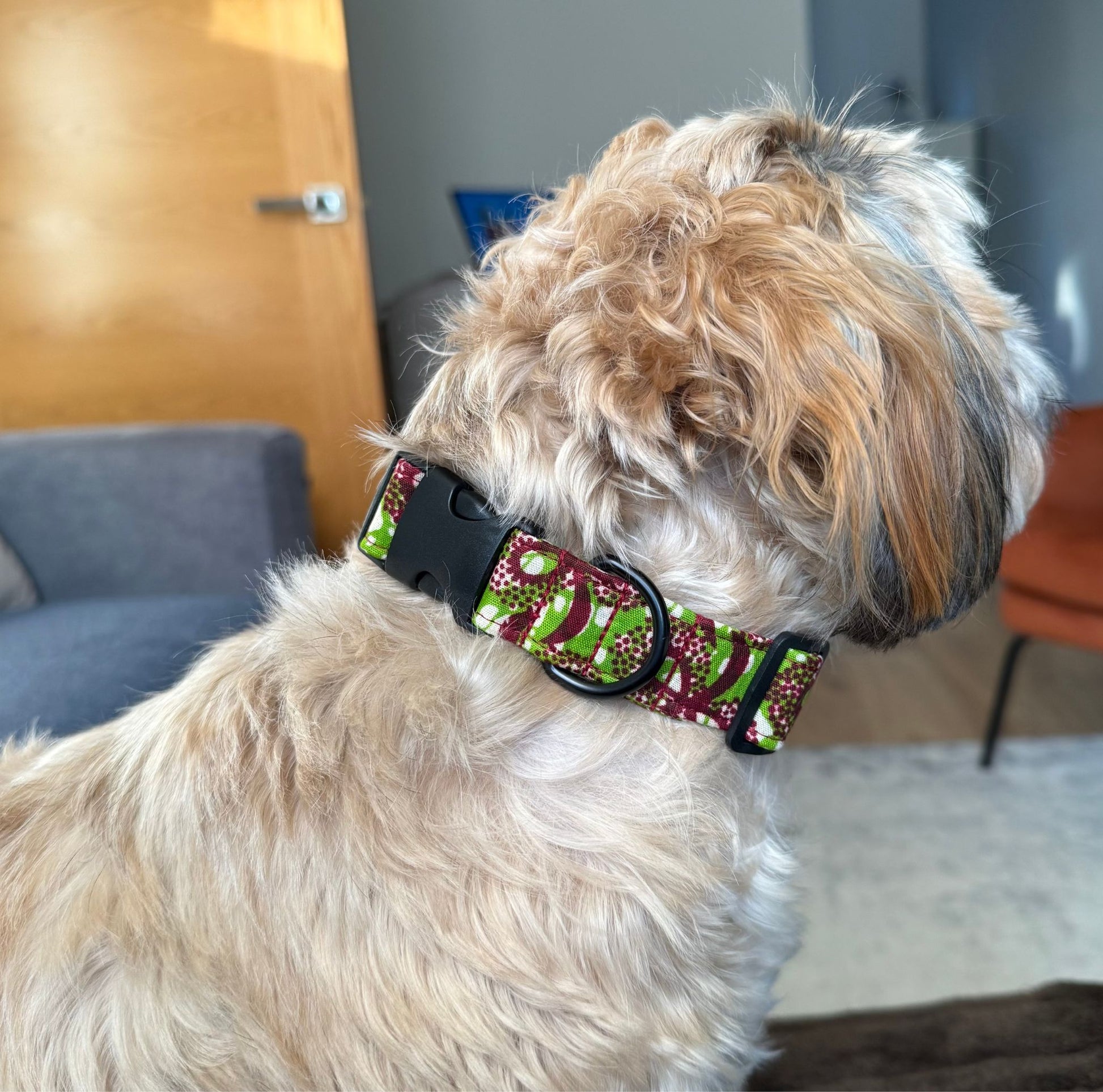 Handmade African print dog collars by Bhooki UK