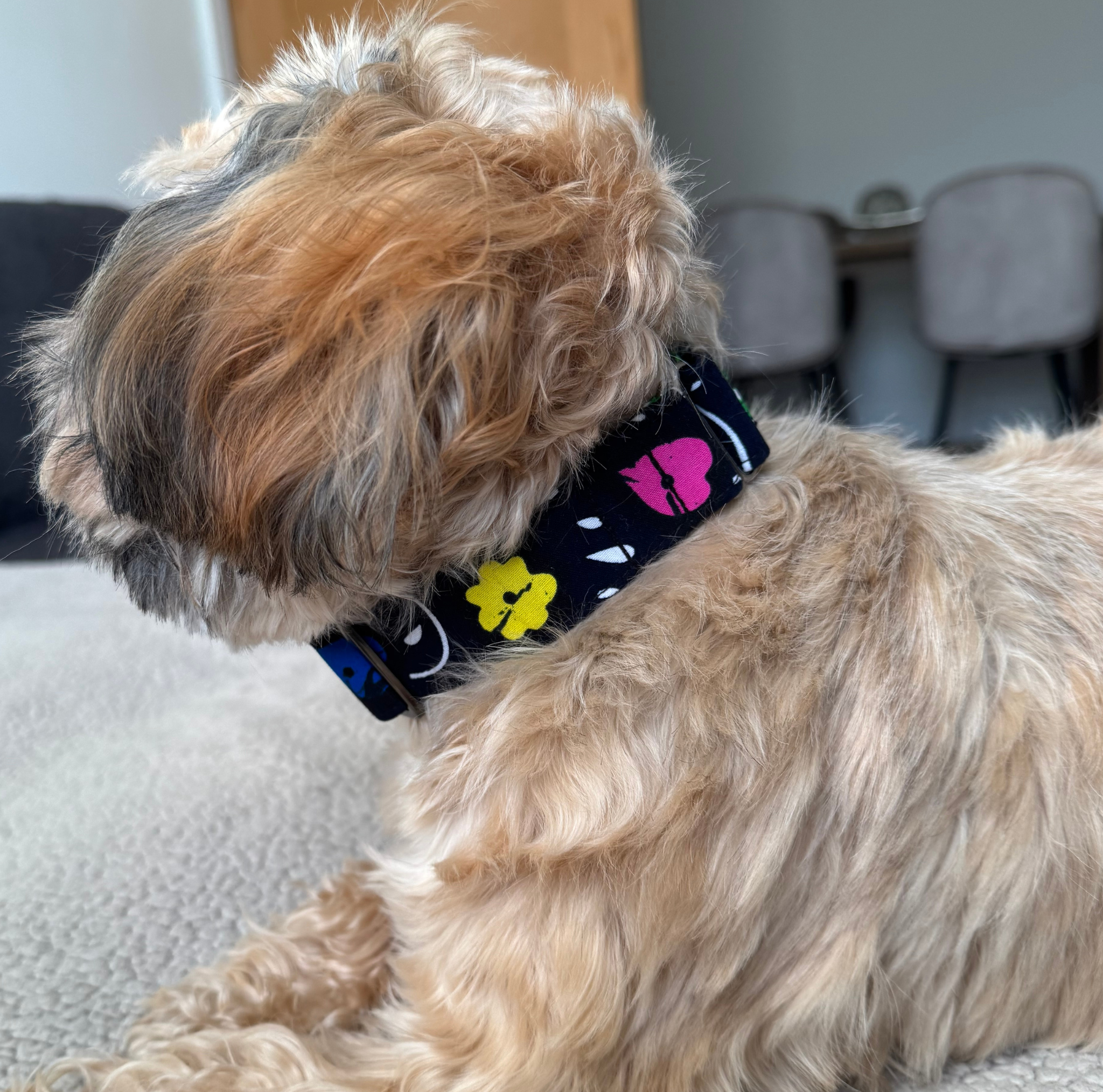 Handmade African print dog collars by Bhooki UK