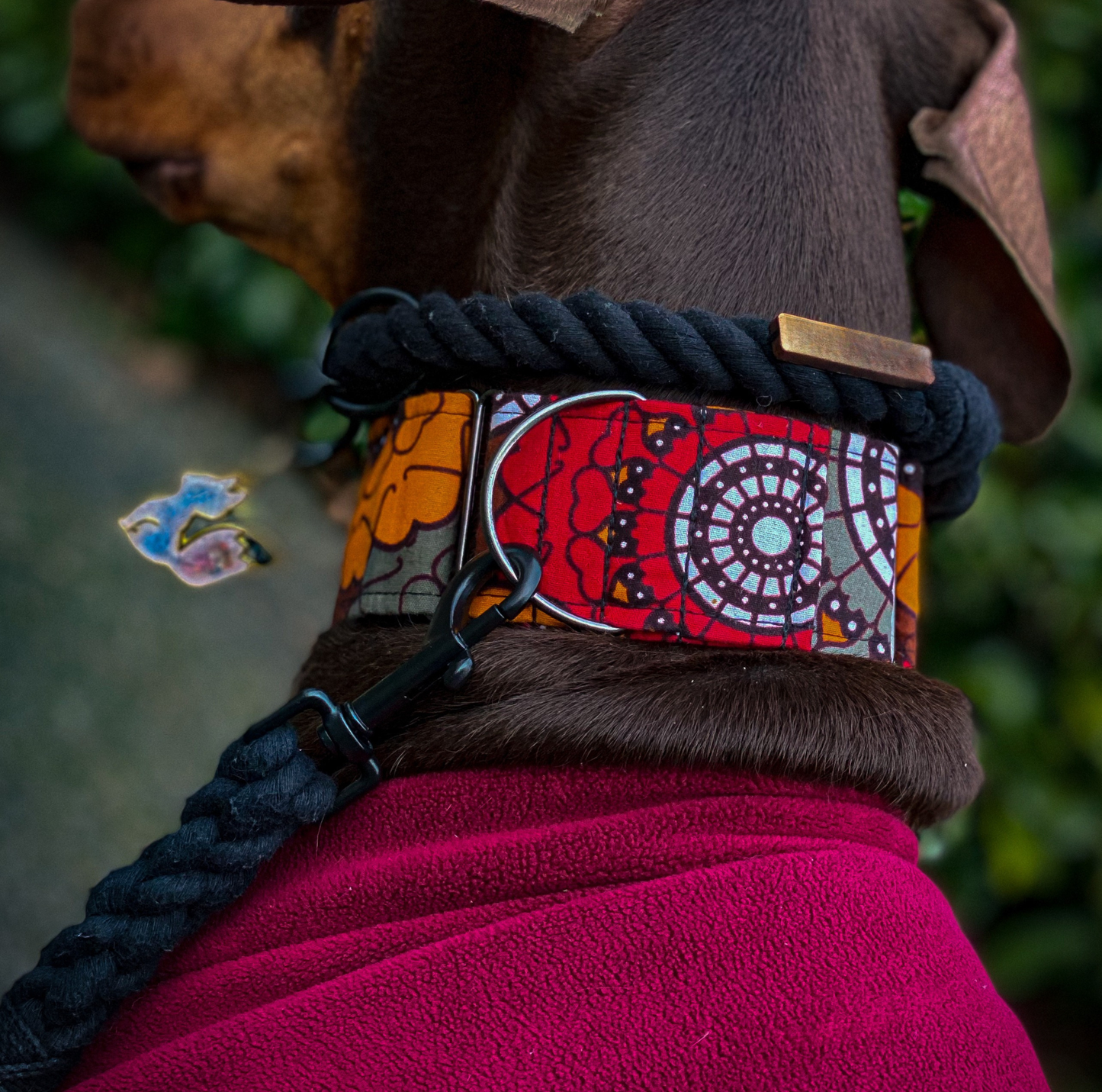 KIAMA — Red & Orange Bird Print Martingale Dog Collar