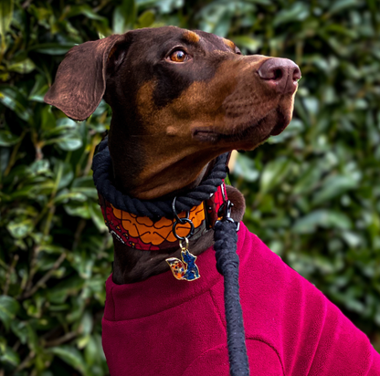KIAMA — Red & Orange Bird Print Martingale Dog Collar