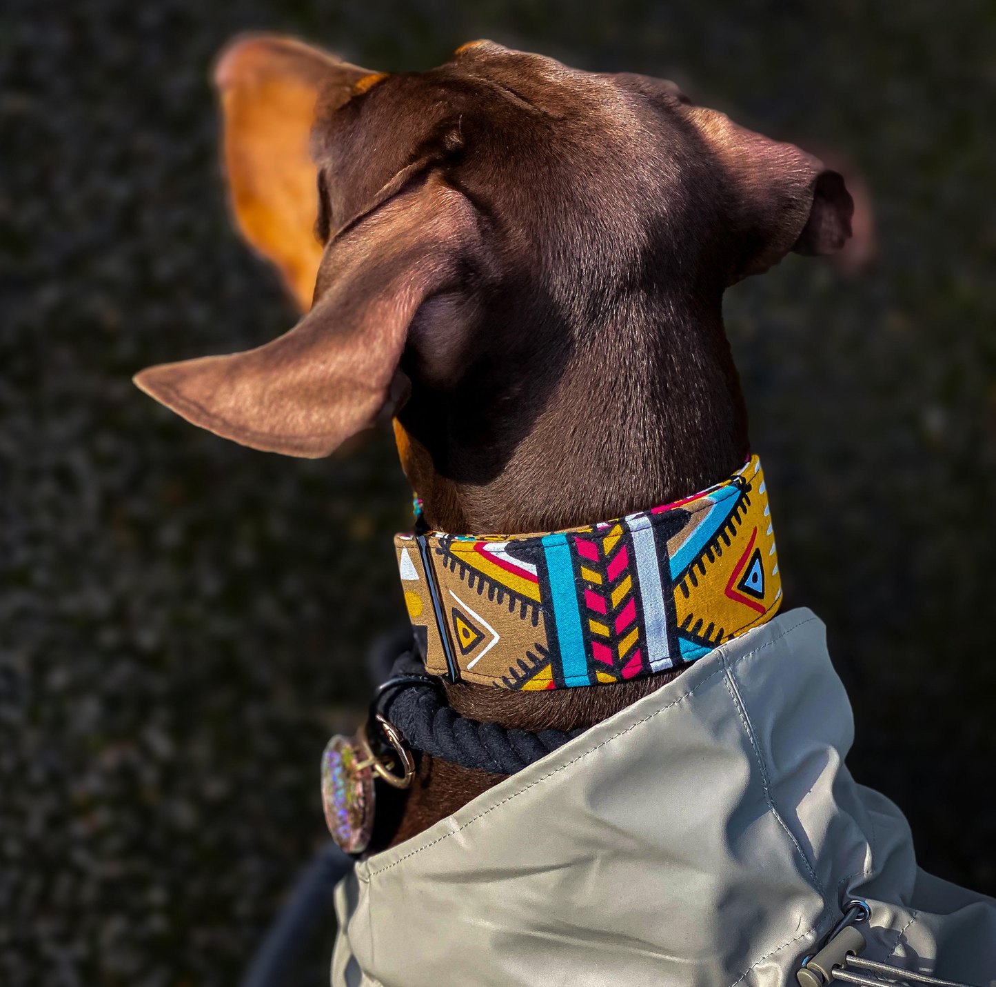 LARA Martingale Dog Collar