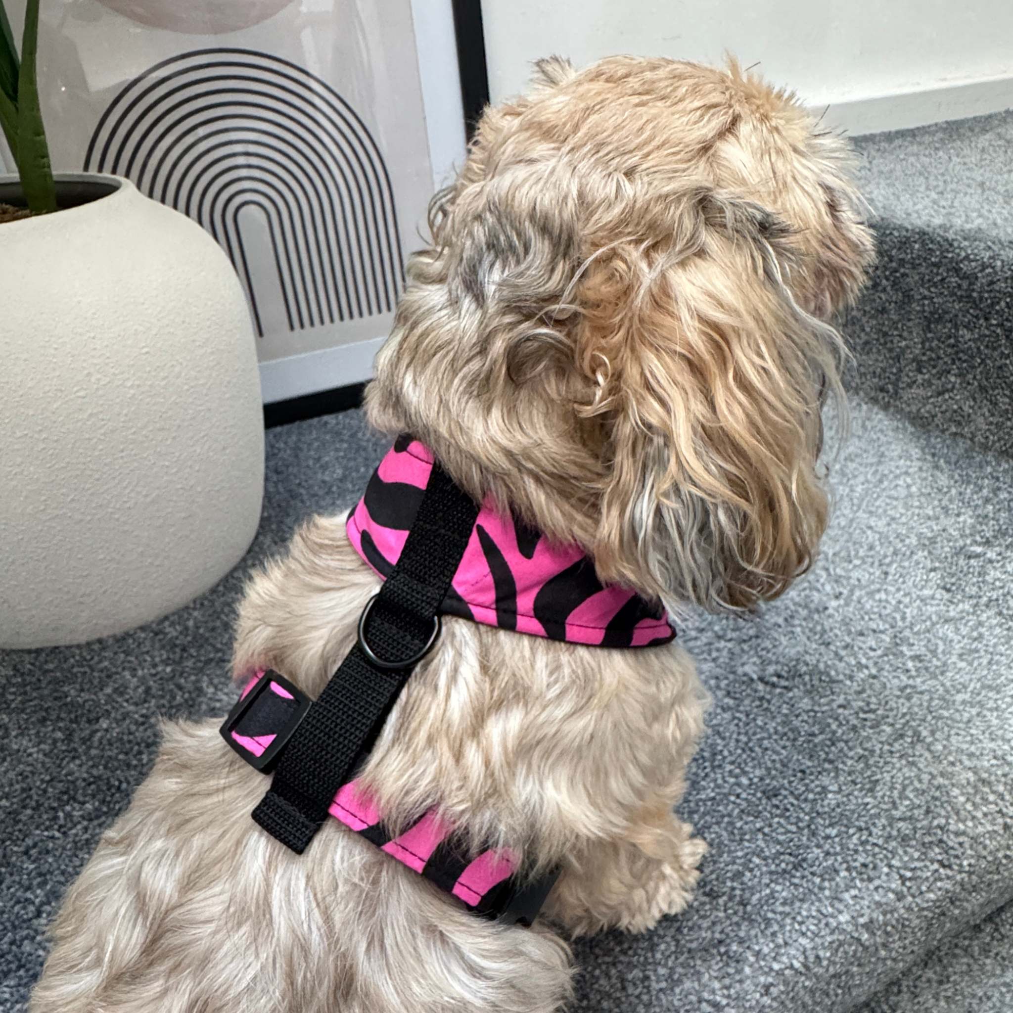 MOYIN pink and black swirl African print dog harness by Bhooki, handmade in the UK