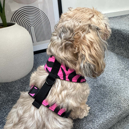 MOYIN pink and black swirl African print dog harness by Bhooki, handmade in the UK