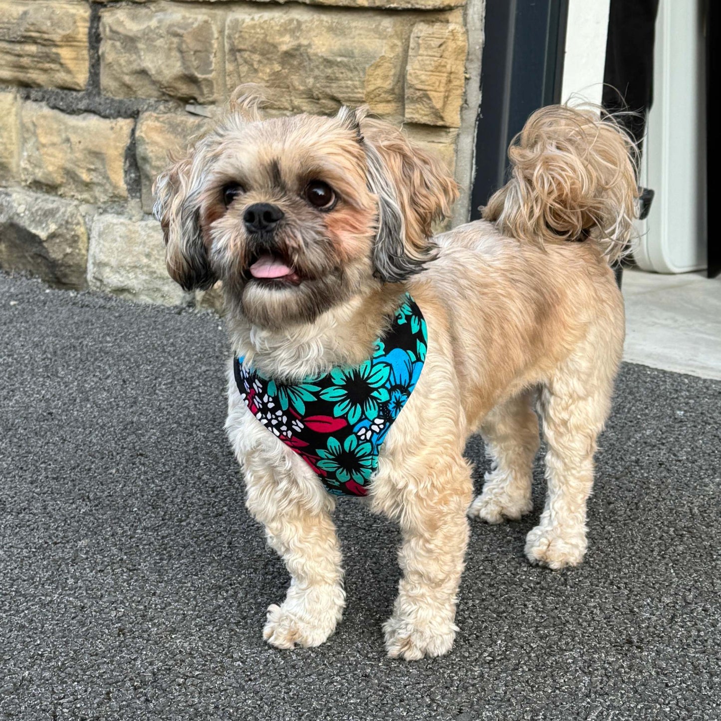 SADA black, teal, blue, fuchsia, white and yellow floral African print dog harness by Bhooki, handmade in the UK