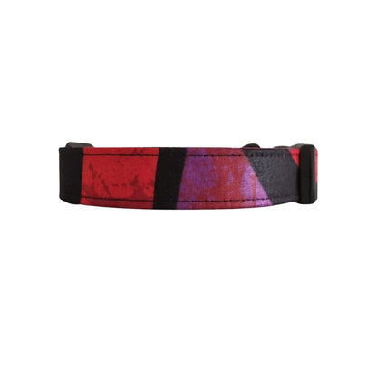 colourful dog collar on a white background