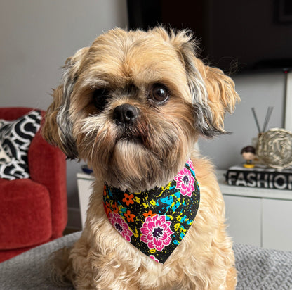 Small dog wearing a colorful dog bandana 