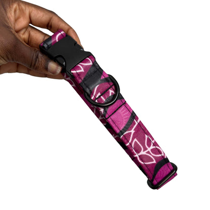 EHI — Magenta, Black & White Floral Dog Collar