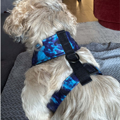 Small dog wearing the IMADE blue and purple tie-dye African print harness by Bhooki