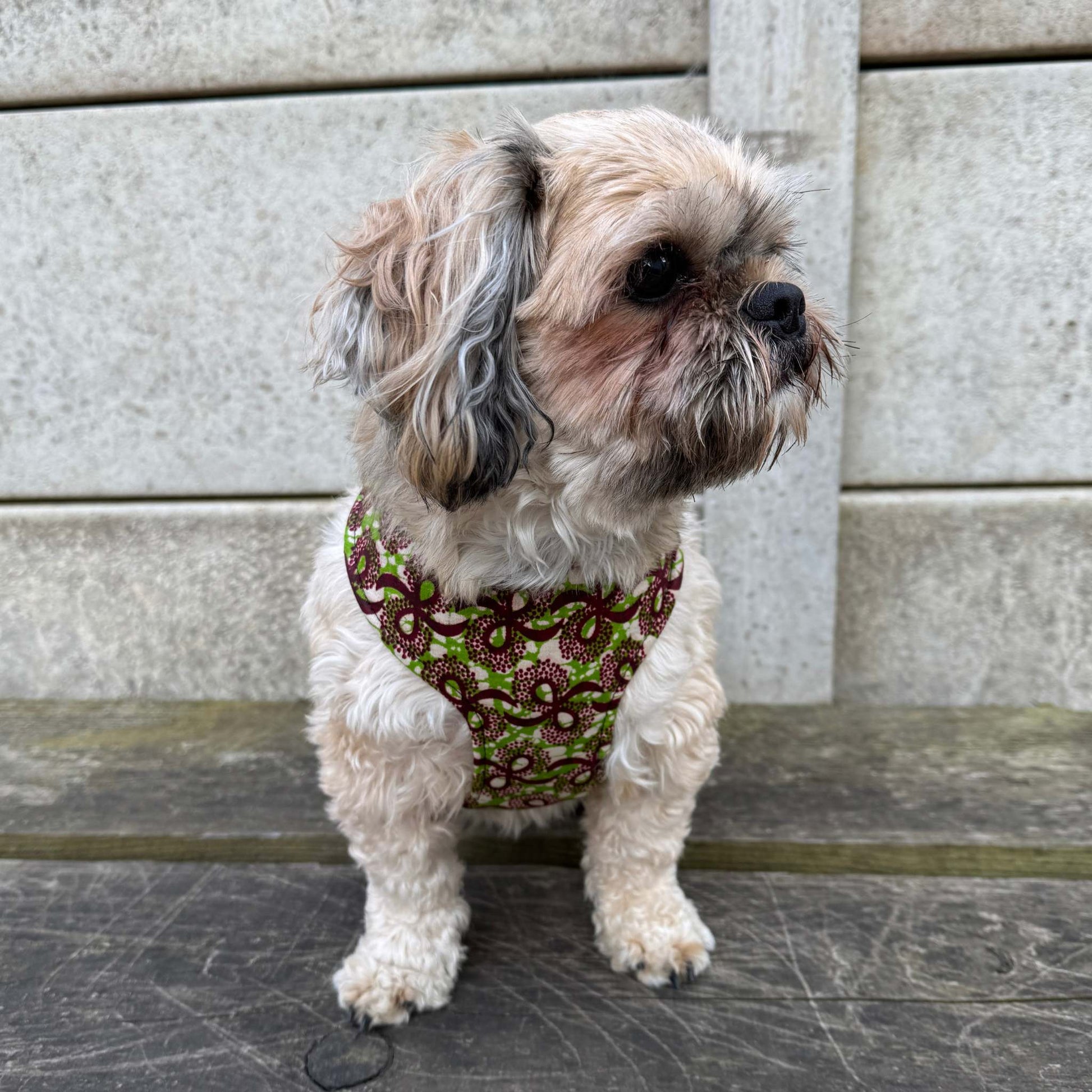TOPE green and burgundy floral African print dog harness by Bhooki, handmade in the UK