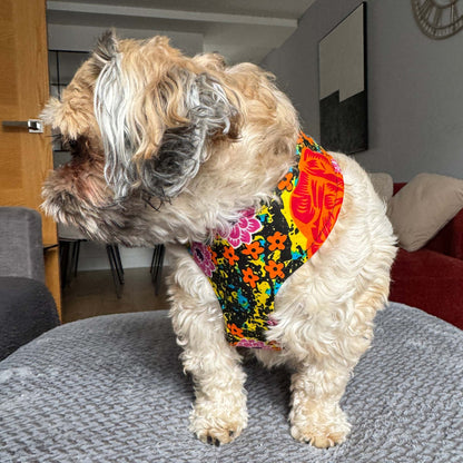 ZITA pink and orange floral African print dog harness by Bhooki, handmade in the UK