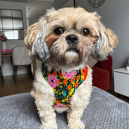 ZITA pink and orange floral African print dog harness by Bhooki, handmade in the UK